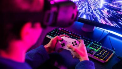 Online Gaming and the Search for Variety